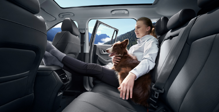 JAECOO 5 interior con techo panorámico